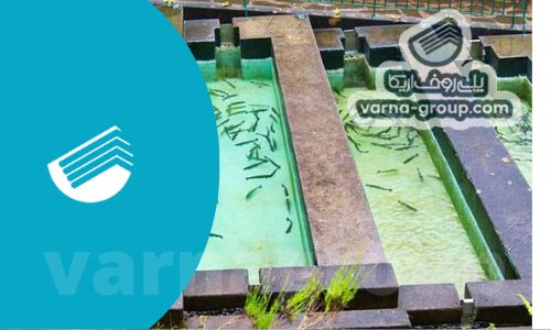 بهترین متریال برای ساخت سوله پرورش ماهی کدام است؟