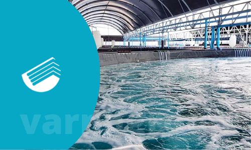 همه آنچه باید در مورد سوله پرورش میگو بدانید