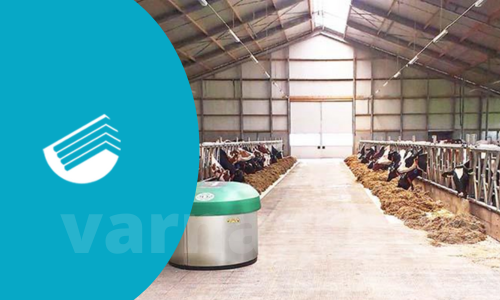 نقش سقف در دامپروری صنعتی و بهبود بهره‌وری دام و طیور