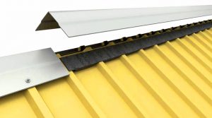 فلاشینگ نما _ پلی روف