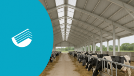 سقف سوله مناسب برای دامداری و مرغداری